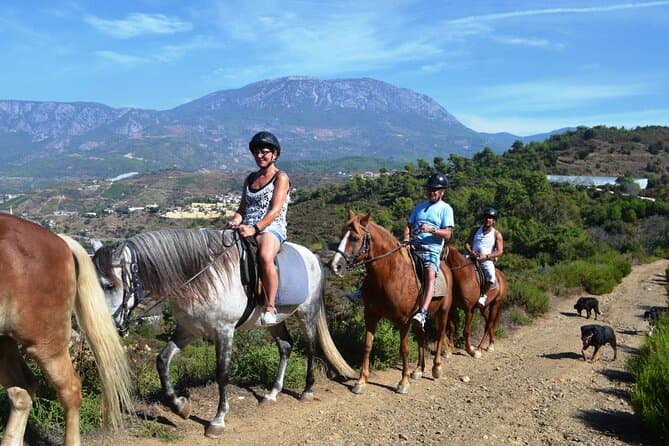 Best Alanya Horseback Riding Tours