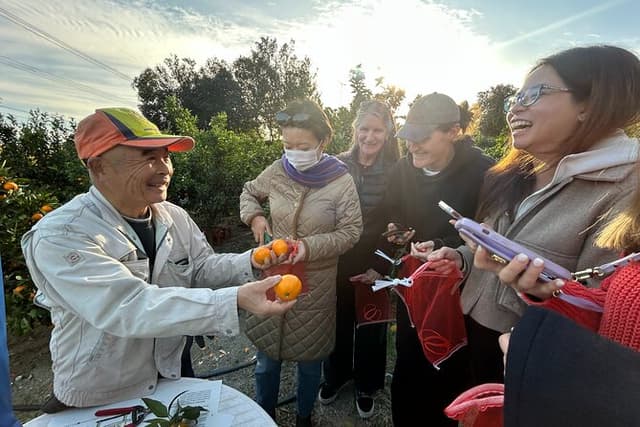 Miyakubochu Walking Foodie Adventure