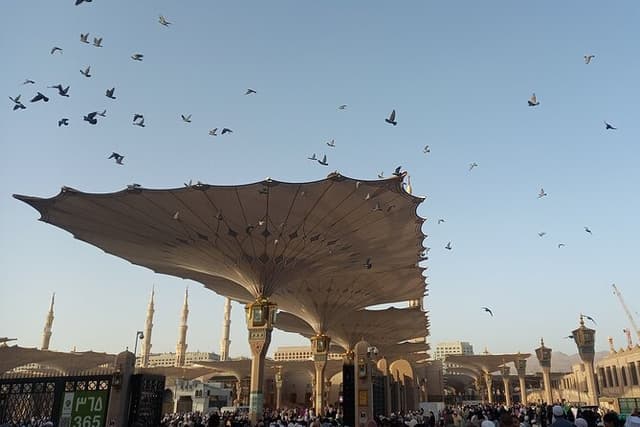 Private Guided Tour of Madinah Ziyarat