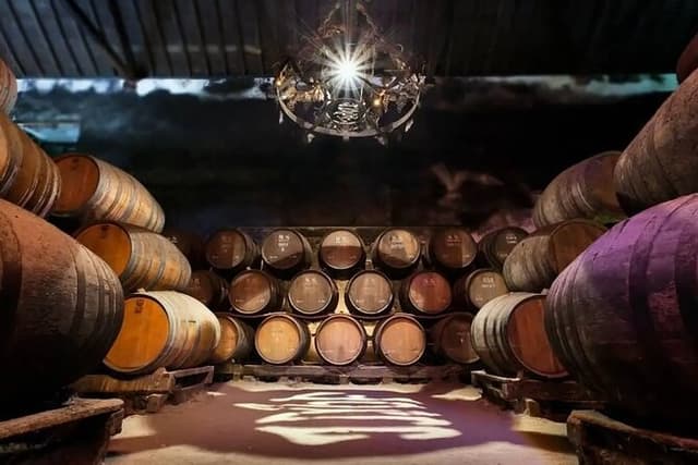 Arrabida Wine Tour from Lisbon: Wineries, Tastings & Tile Factory