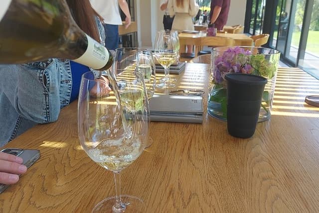 Cape Wine Experience Full-Day Tour!