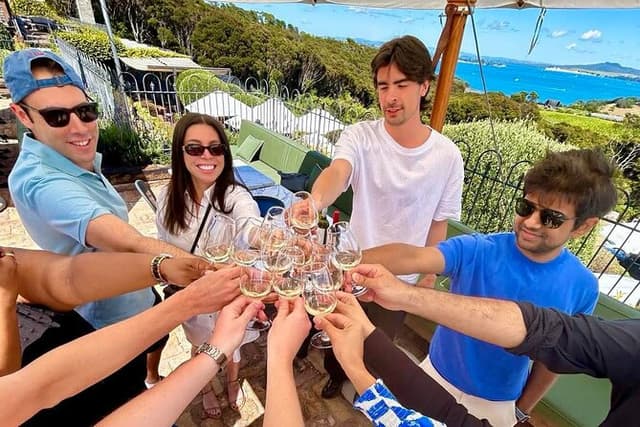 Auckland: Waiheke Wine Tour: 4 Vineyards, Local Guide, Great Day