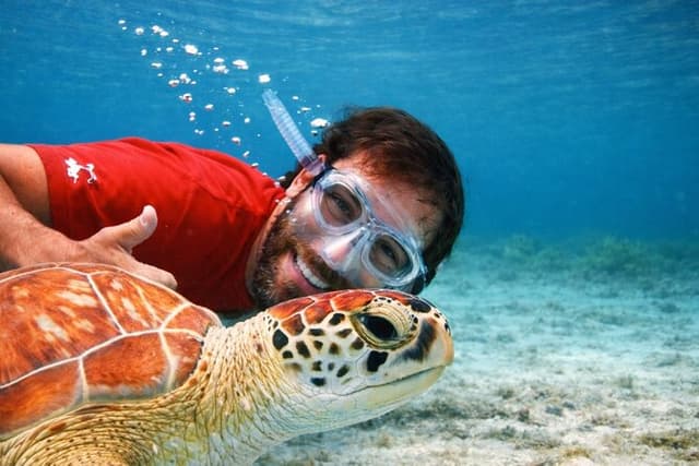 Culebra Snorkel with Turtles & Flamenco Beach Adventure by Ferry