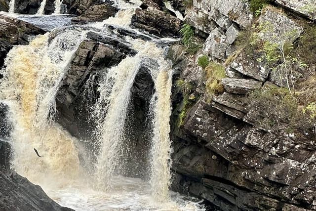 Inverness Forests with Falls and Coast Private Tour