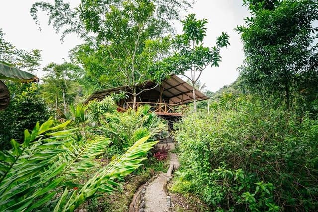 Jungle experiences, 3 days 2 nights