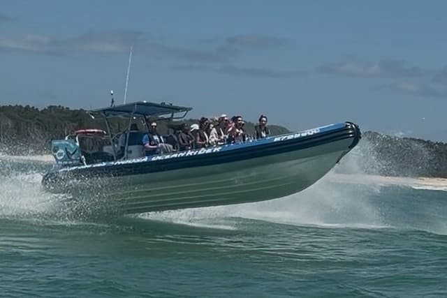 Noosa ocean adventure & Dolphin safari.