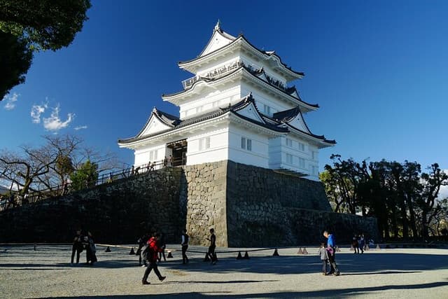 Odawara Samurai Heritage and Local Seafood Lunch Tour