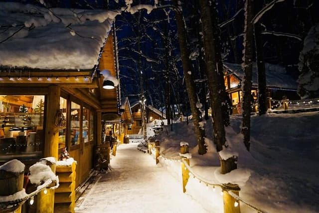 Hokkaido Tour, Asahiyama Zoo, Christmas Tree and Biei Green Pond