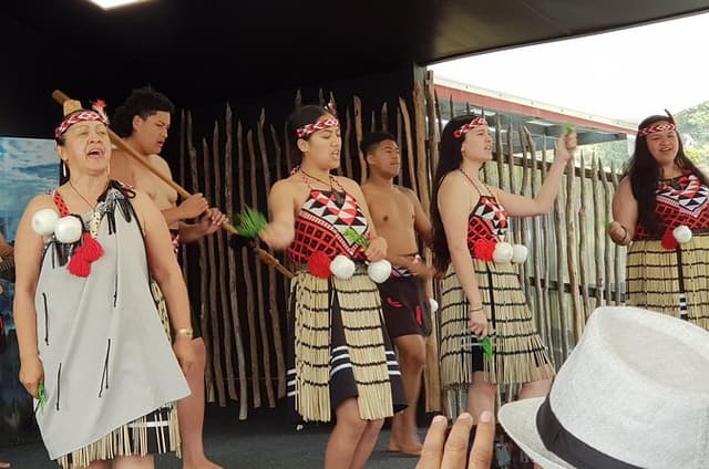 Ex Hamilton Māori Haka Culture, Geothermal Wonders & Blue Springs