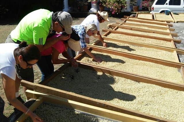 Senderos Del Café Tour From Veracruz Or Boca Del Rio
