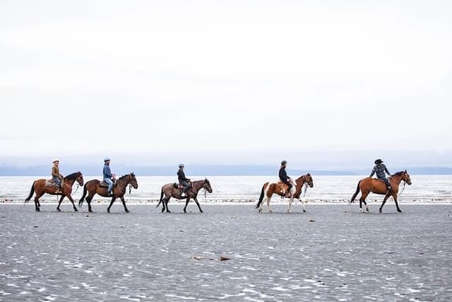 Beach Horse Riding Experience in Homer