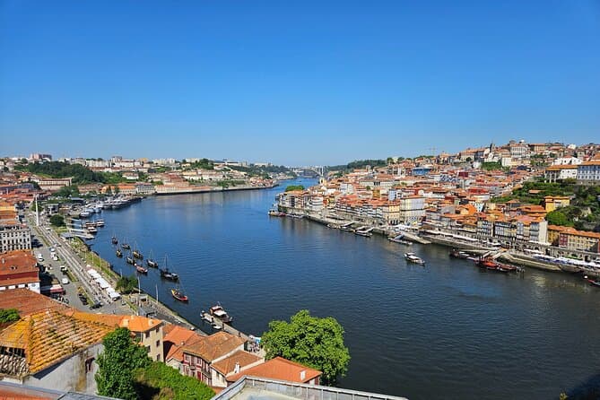 Premium Private Transfers: Porto to Madrid