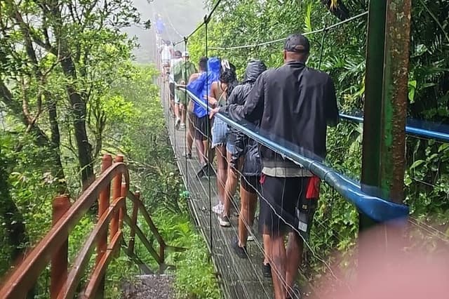 Waterfalls & hanging bridges and sloths