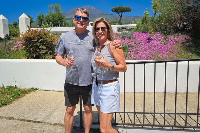 Private Pompeii and Vesuvius with Wine Tasting and Full Tickets