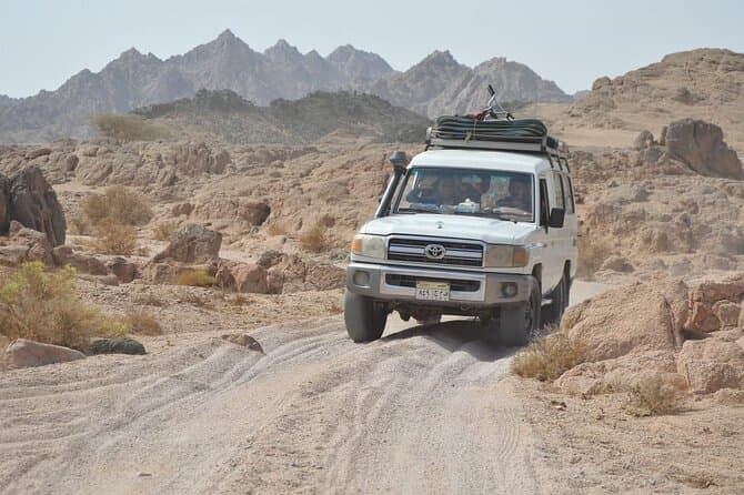 Epic Dahab Desert ATV Safari & Canyon Adventure