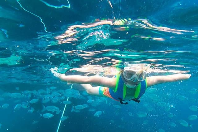 Meet the Sea: Family Boat trip to Conillera island
