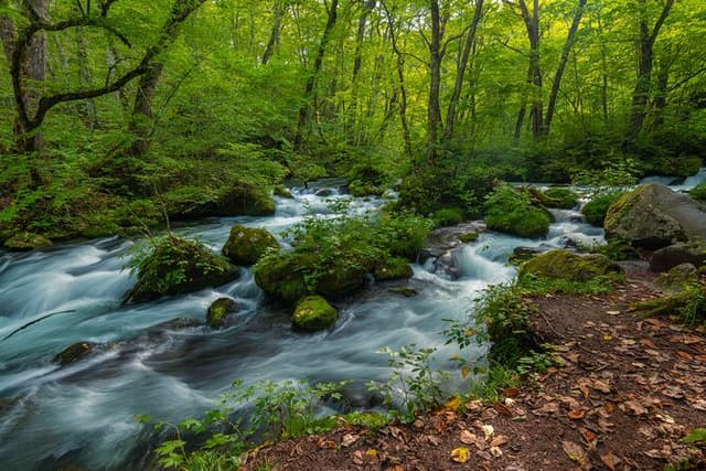 Full Day Aomori Private Tour: Oirase Gorge & Hakkoda Mountains