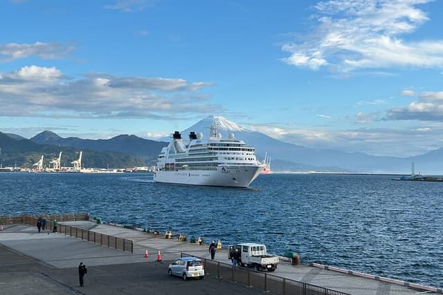 Private Sightseeing Tour from Shimizu Port Medium Bus