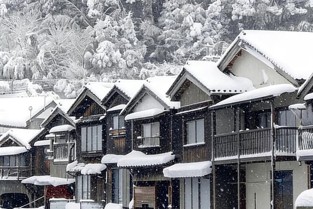 Amanohashidate & Ine Private Tour from Kyoto with English Driver