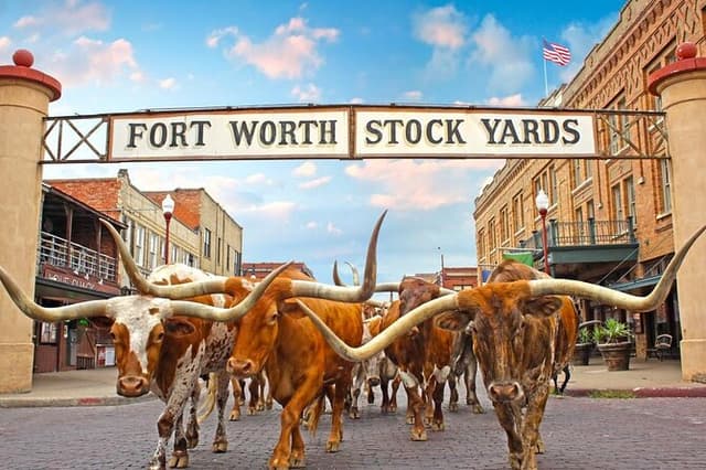 Fort Worth Heritage and Landmark Van Tour 70 min or 3 hours