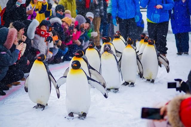 Sapporo Private Tour: Asahiyama Zoo, Ramen Village & Sake Brewery