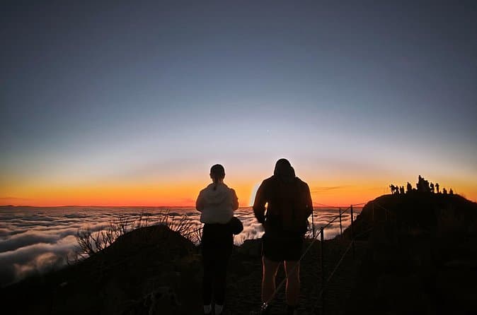 Compare Top Pico Ruivo Sunrise Tours