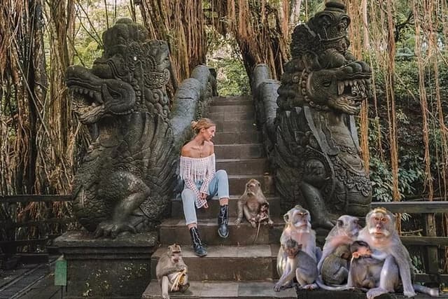 Private Ubud Tour: Monkey Forest, Waterfall & Rice Terrace