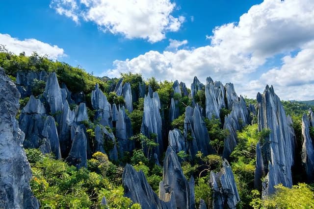4-Day Private Yunnan Discovery from Jinan: Kunming, Dali and Lijiang