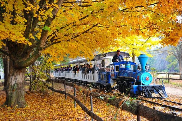 Korea's Best Nami Island & Garden of Morning Calm Trip from Seoul
