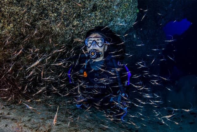 Double Diving Departure in Santa Maria Azores