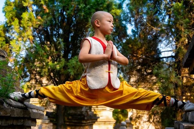 All Inclusive Luoyang Private Day Tour to Shaolin Temple and Longmen Grottoes