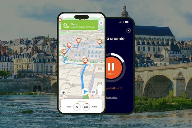 Blois Walking tour 1h45 and 22 audio reviews