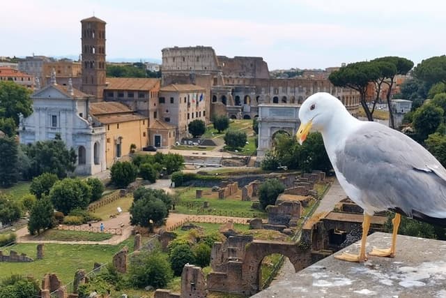 Private Roman Forum Palatine Hill Tour with Augustus and Livia