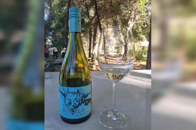 Private Transport from Santiago: Viña Concha y Toro Tour + Museum