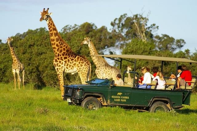 Port Elizabeth Kragga Kamma Game Park 4WD Tour