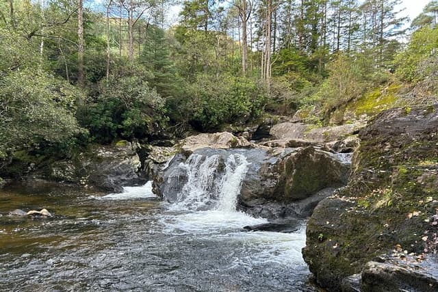 E-Bike Tour to a Fairy Glen and Hidden Waterfalls