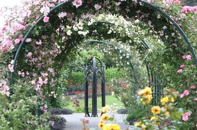 Auckland Discovery: Botanic Gardens, Historic Village, Mt.Eden