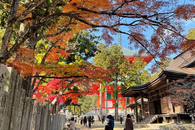 Koyasan Wakayama: Okunoin, Kongobuji & Garan with Certified Guide