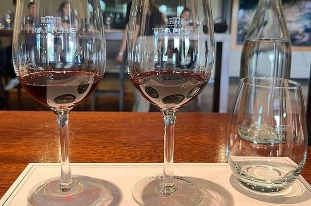 Iconic Wines of Mendoza Trapiche Tasting & Lunch at El Enemigo