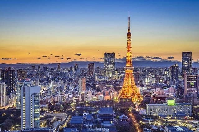 Yokohama/Tokyo Port to Disney: Ticket + Transfer & Private Tour