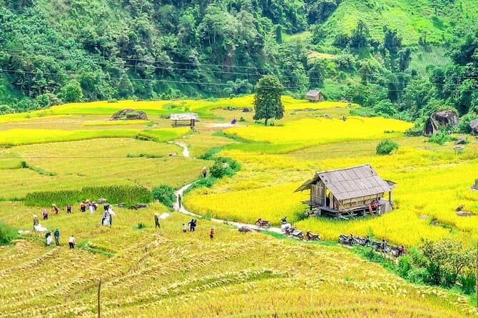 Sapa Private Car Tour