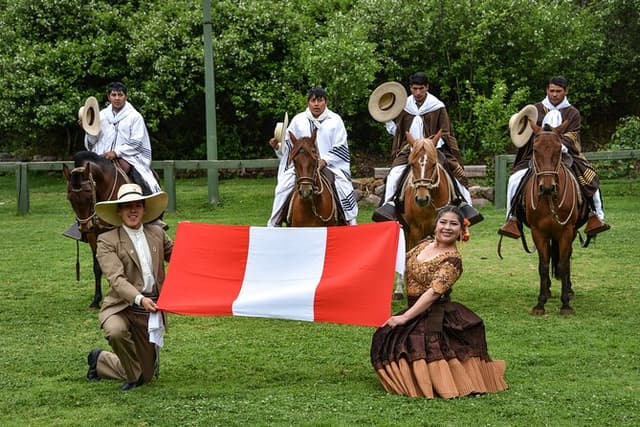 Peruvian Flavors & Paso Horses – Lima Private Shore Tour