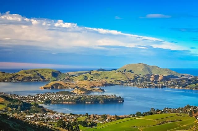 Private Shore Tour – Discover Dunedin & Otago Peninsula