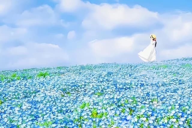 From Tokyo Adachi Night Wisteria & Ibaraki Pink Flowers Day Tour