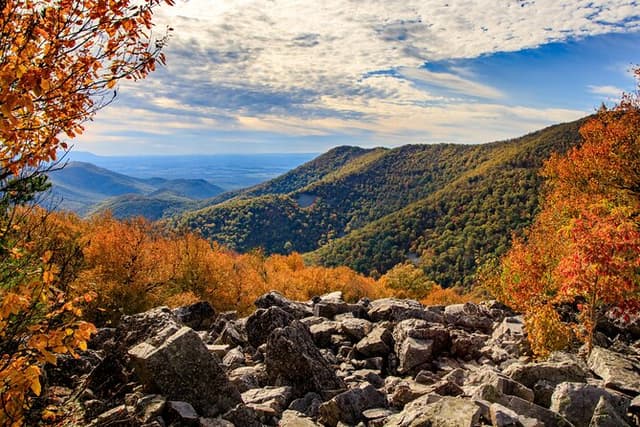 Shenandoah Private Skyline Drive Day Tour From Washington DC