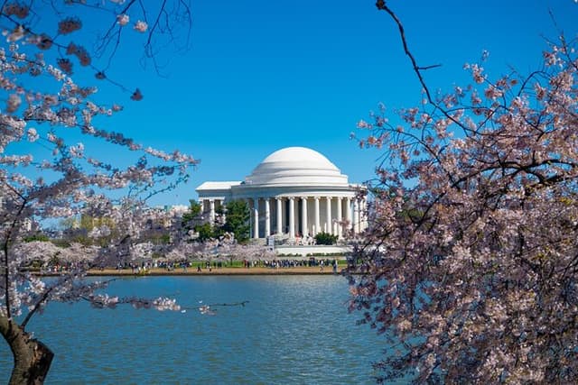 Washington DC Private City Tour with Monuments and Views