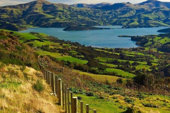 Compare Akaroa Day Tours from Christchurch