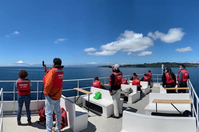 Scenic Catamaran Tour on Llanquihue lake