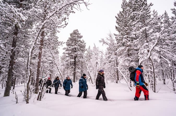 Best Snowshoe Tours in Kiruna