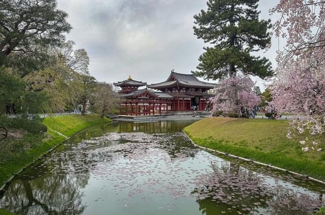Uji Tea Ceremony and UNESCO Heritage Walking Tour